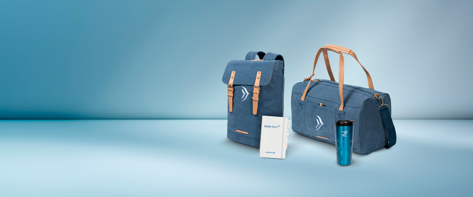 Aegean add baggage online