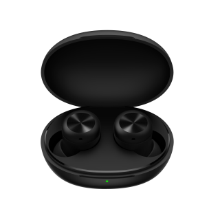 Dizo Gopods D Black earbuds